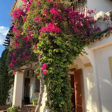 Casa Hermosa ميخاس المظهر الخارجي الصورة