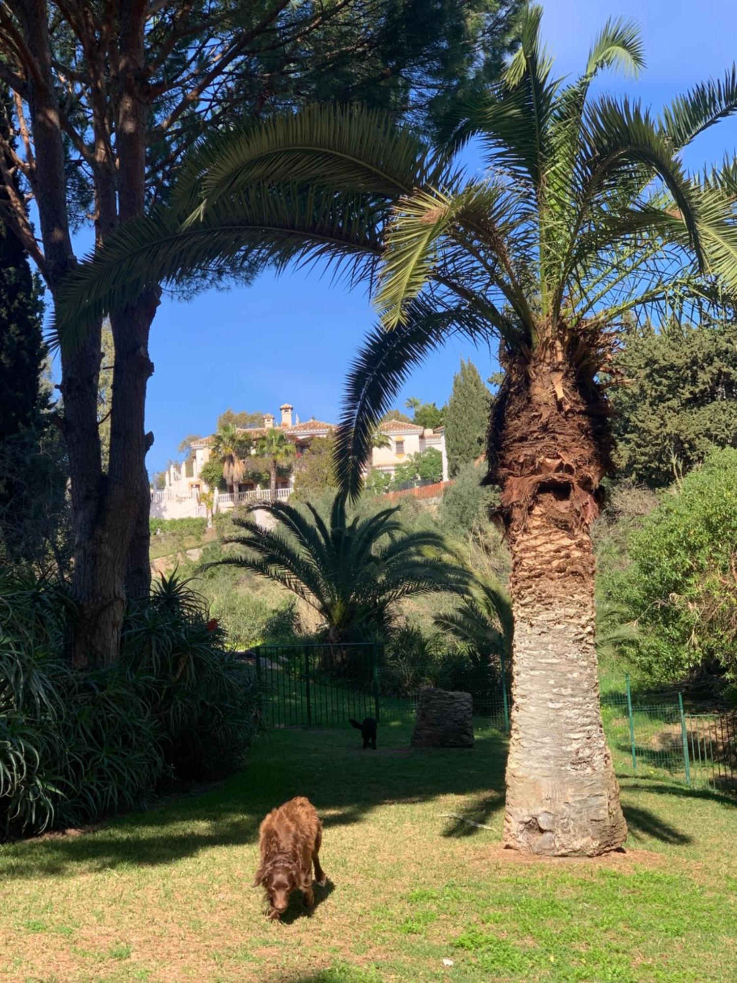 Casa Hermosa ميخاس المظهر الخارجي الصورة