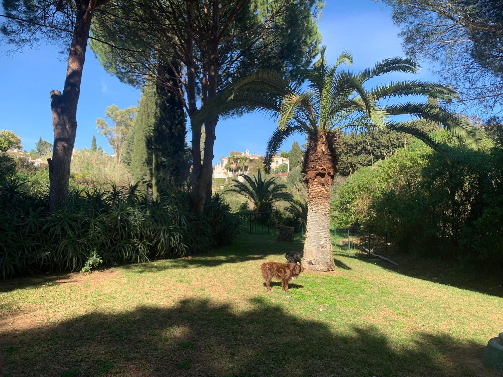 Casa Hermosa ميخاس المظهر الخارجي الصورة