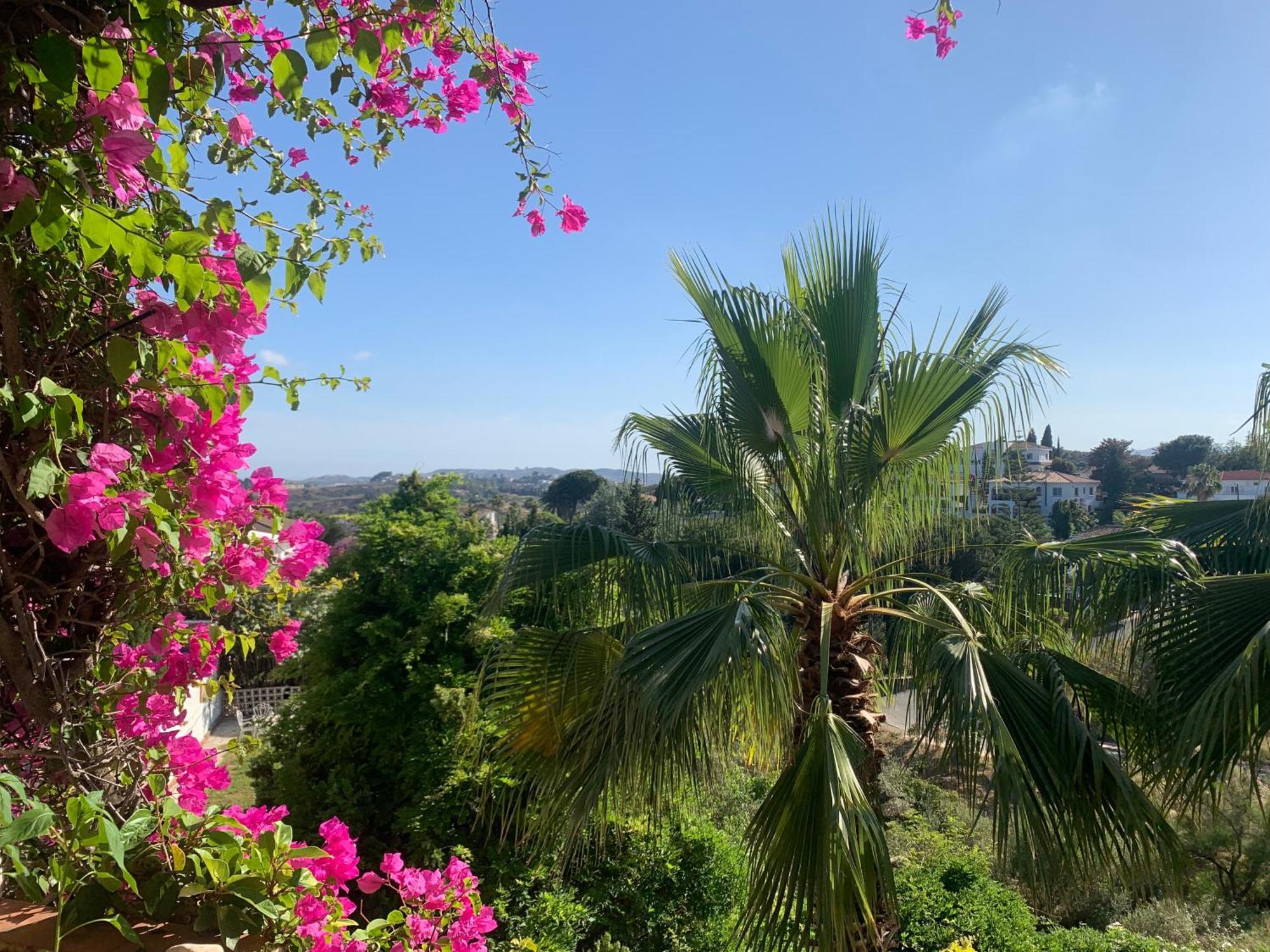 Casa Hermosa ميخاس المظهر الخارجي الصورة