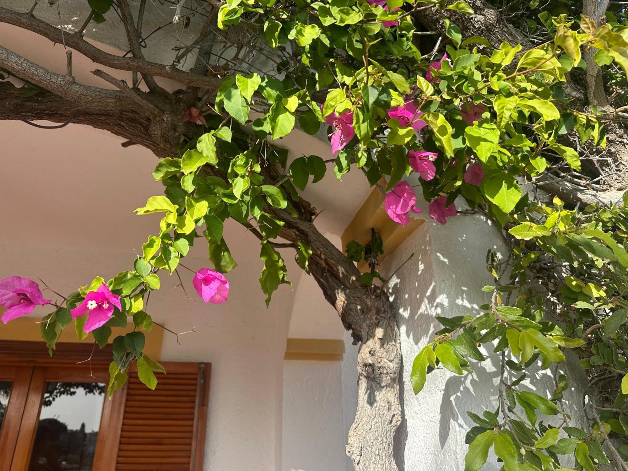 Casa Hermosa ميخاس المظهر الخارجي الصورة